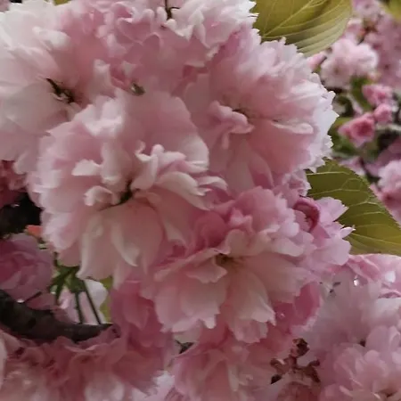 Les Rives De La Dive Les 123 Coaching Pensjonat Moncontour (Vienne)