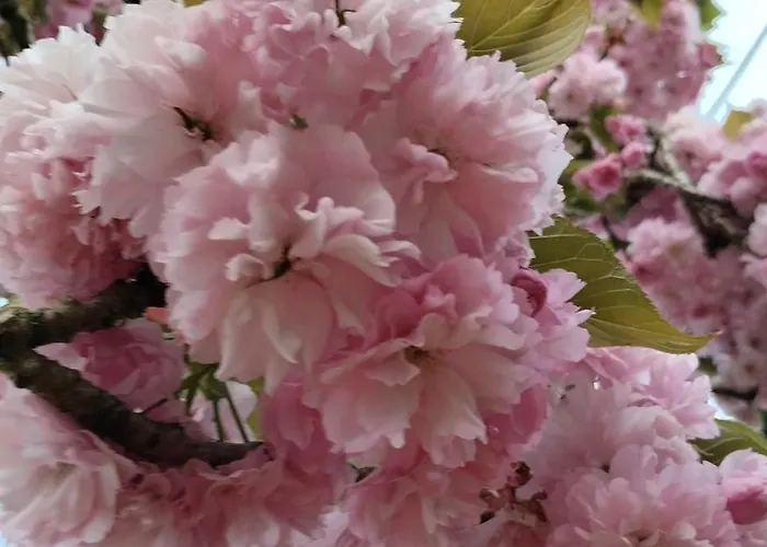 Les Rives De La Dive Les 123 Coaching Pensión Moncontour (Vienne)